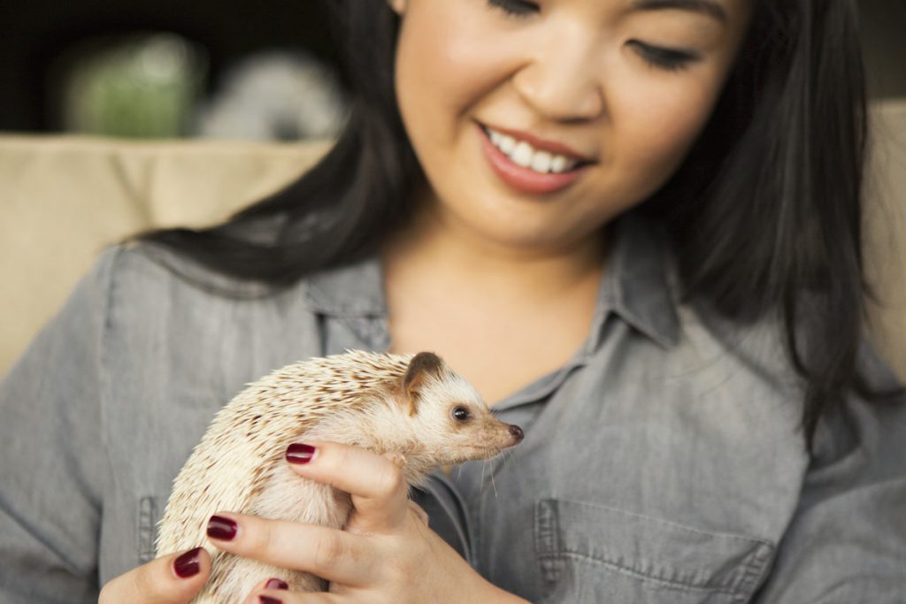 A woman holding a hedgehog in her hands