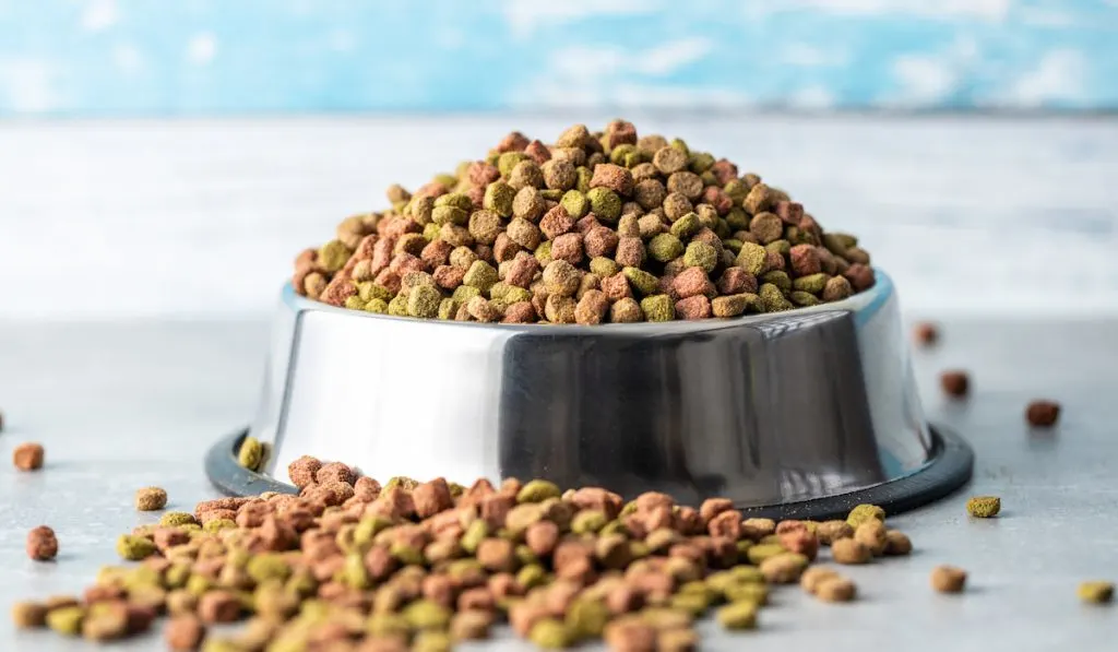 Dried cat foods in feeding bowl 