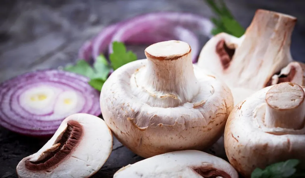 Fresh champignon mushrooms and red onion