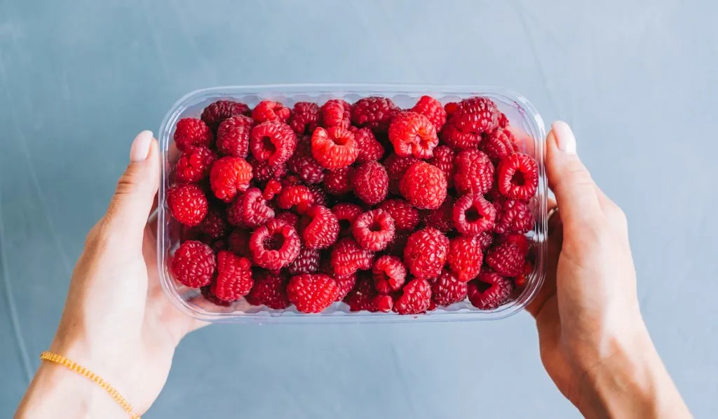 Fresh-ripe-raspberries-in-plastic-tub-on-light-blue-background