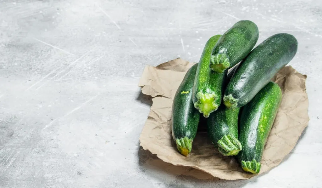 Fresh zucchini on paper 