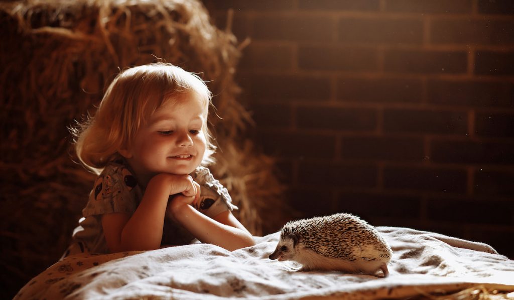 Little girl and hedgehog 