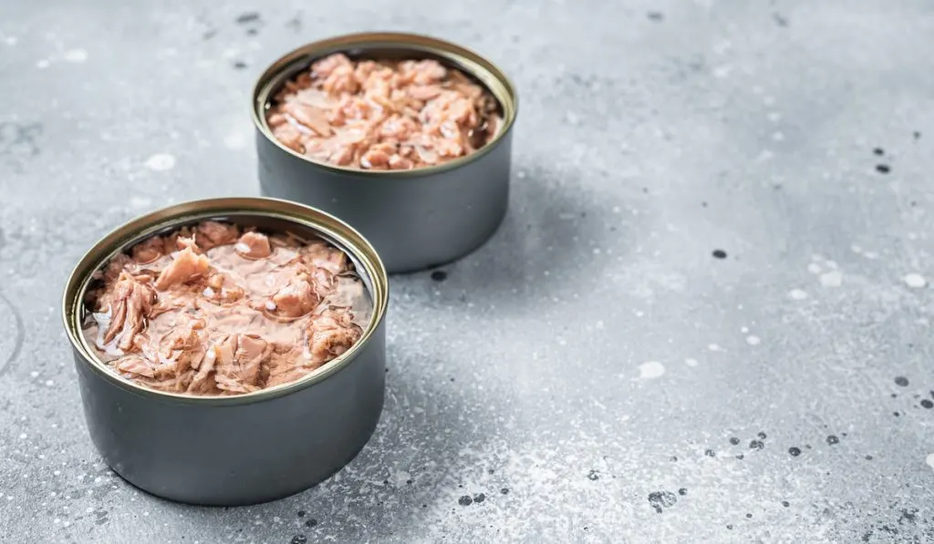 Open tin can with canned tuna fish. Gray background 