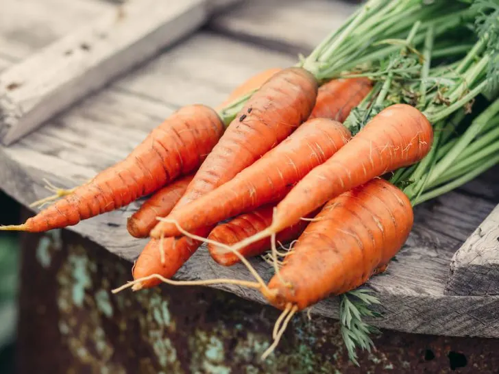 Organic-carrots-on-round-wooden-table