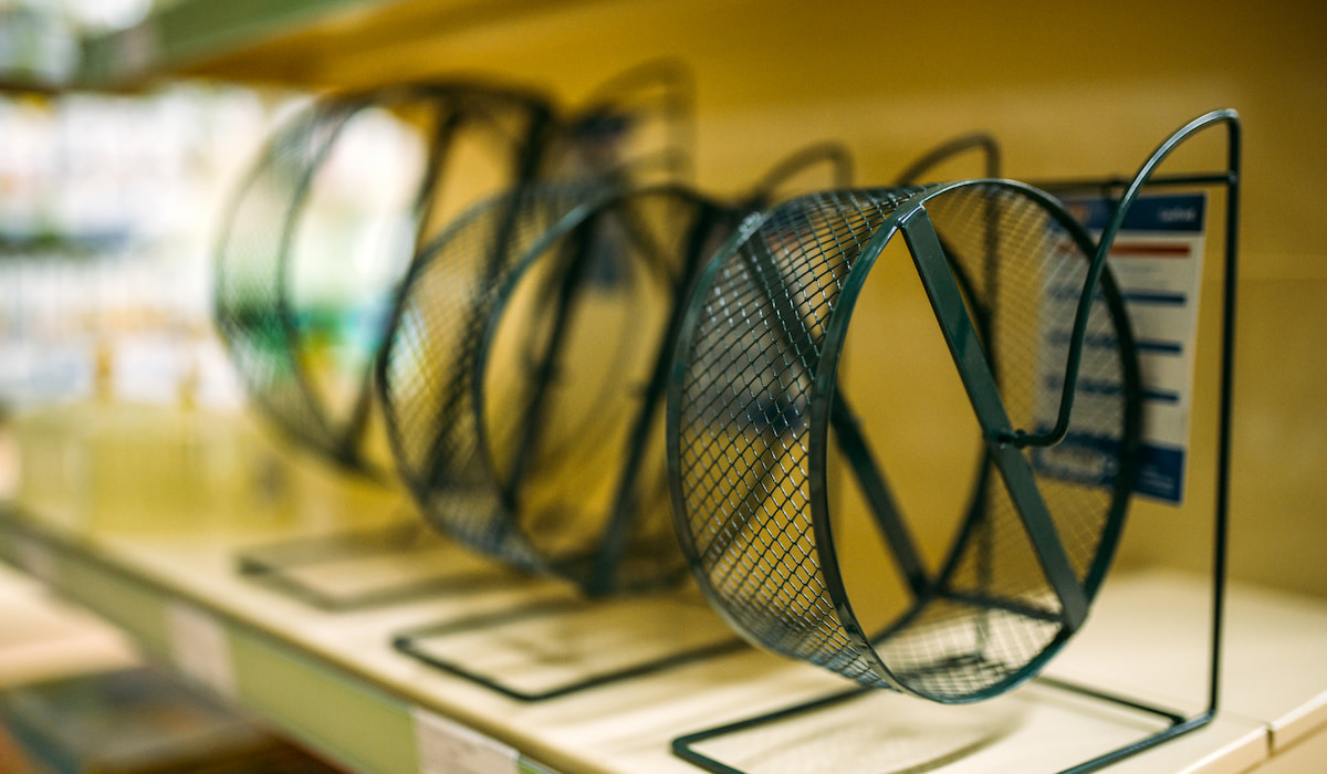 Do Hedgehogs Need a Wheel? Hedgehog Harmony