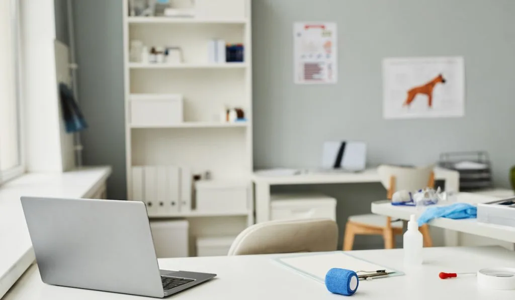 Workplace of veterinarian in contemporary veterinary clinics