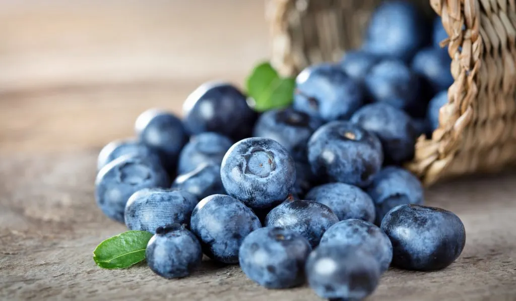 blueberries from wooden basket 