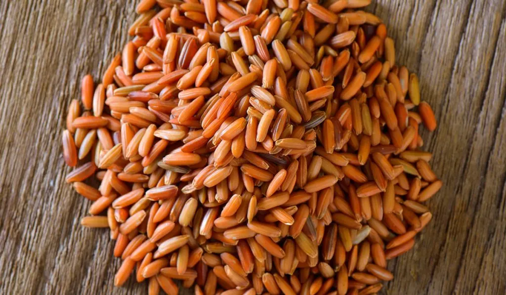 closeup shot of brown rice 