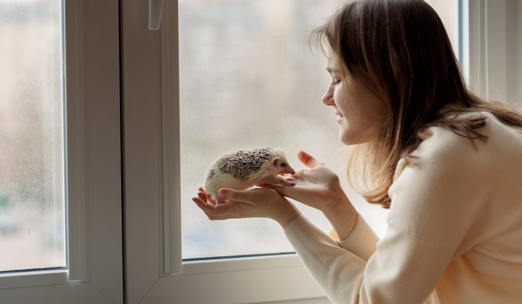 girl holds cute hedgehog in her hands near her face 