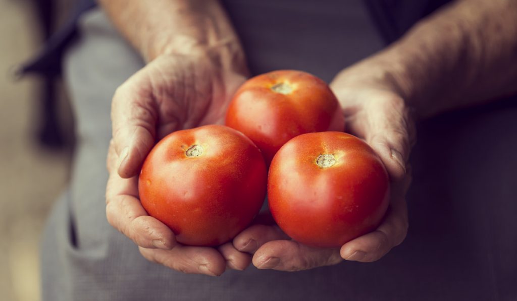 man holding 3 tomatoes 