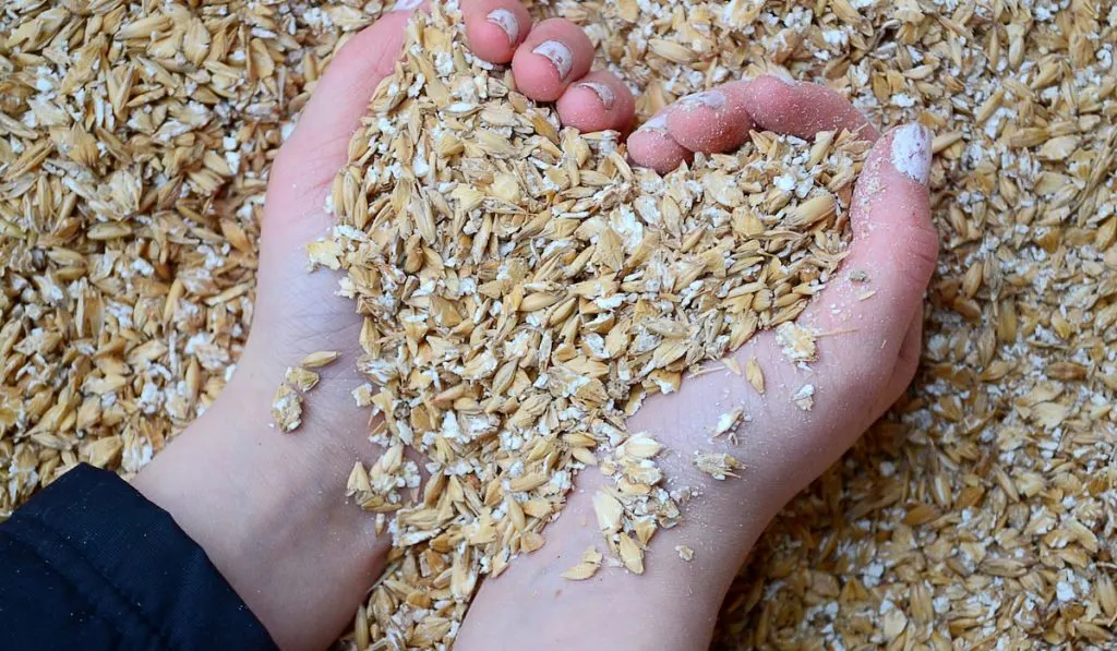 oats on hand