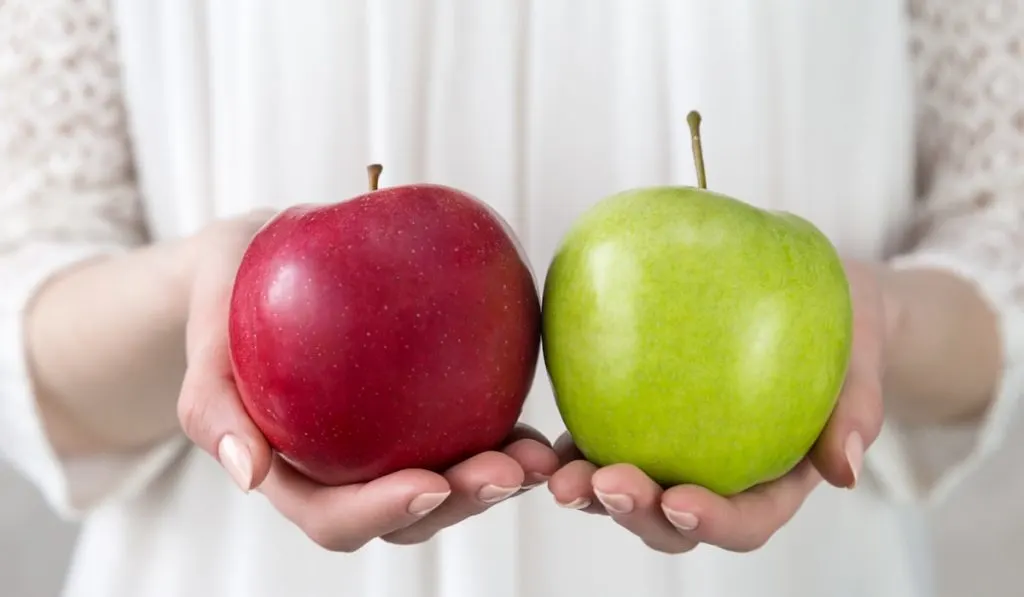 red and green apple on woman's hand