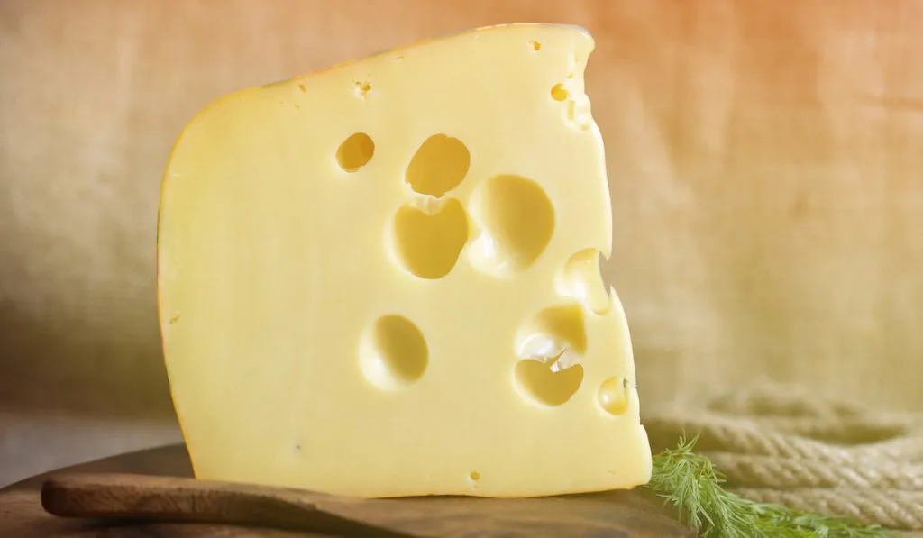 slice of cheese on wooden board